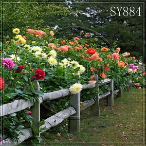 8'x8' SY884